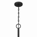 Ten Light Pendant<br /><span style="color:#4AB0CE;">Entrega: 4-10 dias en USA</span><br /><span style="color:#4AB0CE;font-size:60%;">PREGUNTE POR ENTREGA EN PANAMA</span><br />Collection: Veil<br />Finish: Dark Matte Black