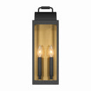 Two Light Wall Sconce<br /><span style="color:#4AB0CE;">Entrega: 4-10 dias en USA</span><br /><span style="color:#4AB0CE;font-size:60%;">PREGUNTE POR ENTREGA EN PANAMA</span><br />Collection: Calandra<br />Finish: Sand Coal Black