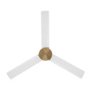 52" Ceiling Fan<br /><span style="color:#4AB0CE;">Entrega: 4-10 dias en USA</span><br /><span style="color:#4AB0CE;font-size:60%;">PREGUNTE POR ENTREGA EN PANAMA</span><br />Collection: Roto<br />Finish: Brushed Brass