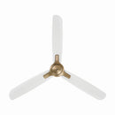 52" Ceiling Fan<br /><span style="color:#4AB0CE;">Entrega: 4-10 dias en USA</span><br /><span style="color:#4AB0CE;font-size:60%;">PREGUNTE POR ENTREGA EN PANAMA</span><br />Collection: Rudolph<br />Finish: Brushed Brass