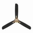 52" Ceiling Fan<br /><span style="color:#4AB0CE;">Entrega: 4-10 dias en USA</span><br /><span style="color:#4AB0CE;font-size:60%;">PREGUNTE POR ENTREGA EN PANAMA</span><br />Collection: Rudolph<br />Finish: Brushed Brass