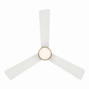 36" Ceiling Fan<br /><span style="color:#4AB0CE;">Entrega: 4-10 dias en USA</span><br /><span style="color:#4AB0CE;font-size:60%;">PREGUNTE POR ENTREGA EN PANAMA</span><br />Collection: Elavan<br />Finish: Legacy Brass