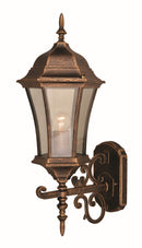 Lámpara De Pared Exterior Tipo Farol 1Xe27-100W (No Incluido) Acabado Bronze/ Vidrio Frosted.