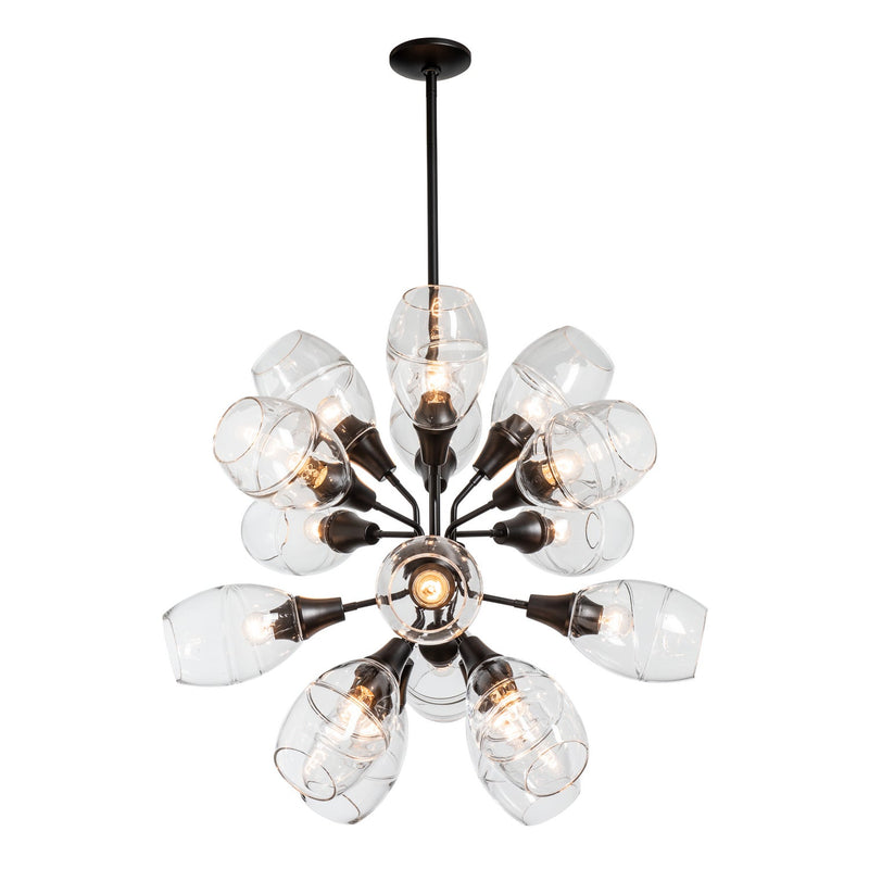 Hubbardton Forge - 134516-SKT-MULT-10-ZM0621 - 16 Light Pendant - Ensemble - Black