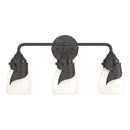 Hubbardton Forge - 201352-SKT-14-GG0330 - Three Light Bath Sconce - Lapas - Oil Rubbed Bronze