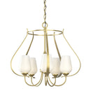 Hubbardton Forge - 103045-SKT-86-GG0303 - Five Light Chandelier - Flora - Modern Brass