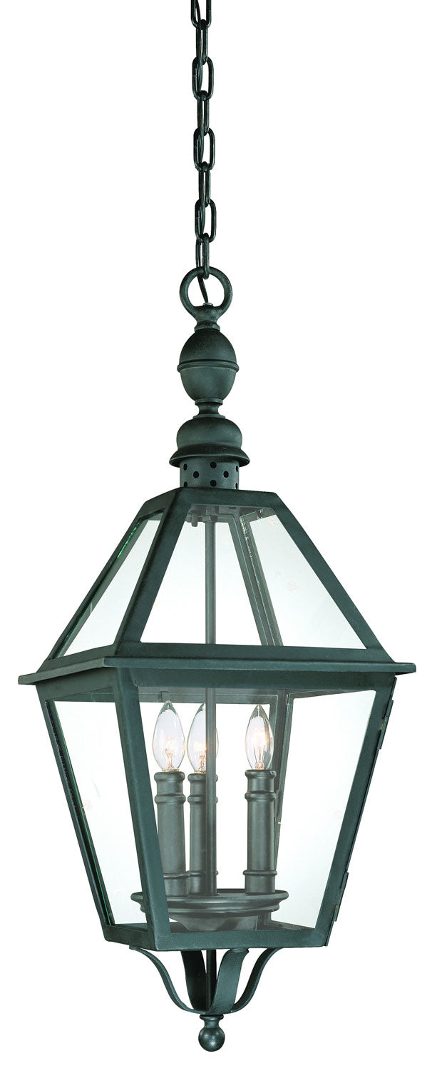 Troy Lighting - F9627NB - Three Light Hanging Lantern - Townsend - Natural Bronze