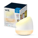 LÁMPARA LED WIFI, 620LM, WIZ-SQUIRE + BT RGB SQUIRE, TRABAJA CON ALEXA, SIRI SHORTCUTS Y HEY GOOGLE.