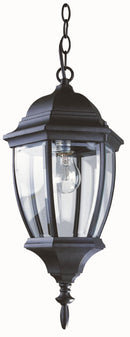 Lámpara Colgante Tipo Farol De Exterior 1Xe27-100W (No Incluido) Acabado Black/Vidrio.