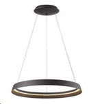 LÁMPARA DE  TECHO COLGANTE LED 50W, 3250LM, 3000K, 3250LM,100-277V/50-60HZ, ACABADO NEGRO.