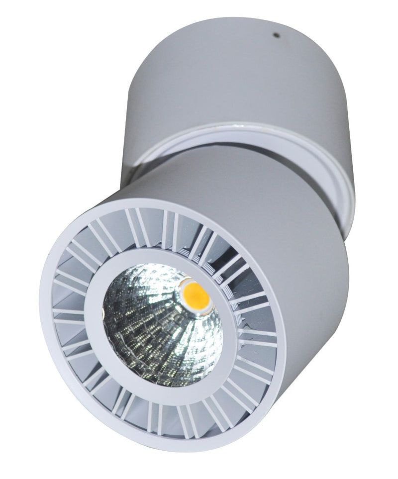 LÁMPARA DE TECHO SPOT LED 12W, CON TONALIDAD DE LUZ EN AMARILLO (3000K) 30-35°/110-240V, EMITE 900LM ,NO DIMEABLE , DIMESIONES D-85-125MM. MARCA LIGHT SOURCE