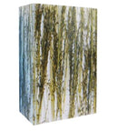 APLIQUE DE PARED MINIMALISTA CON PLANTAS BOTANICAS INCRUSTADAS EN EL PANEL ACRILICO, DISEÑO CATALINA, UTILIZA 2 X E12 LED